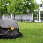 Cosa devono sapere le matricole all'università