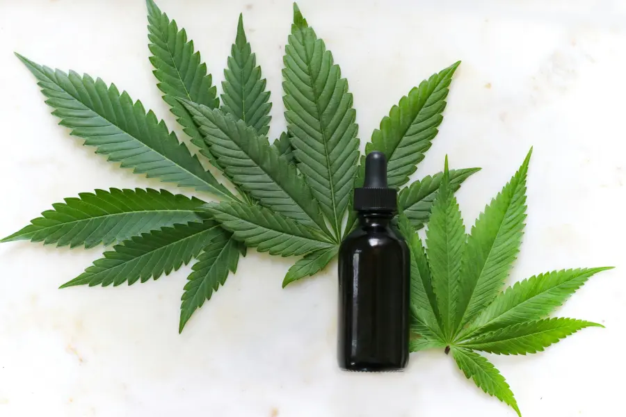 Rinviata ancora la decisione definitiva del TAR in merito al decreto anti-CBD